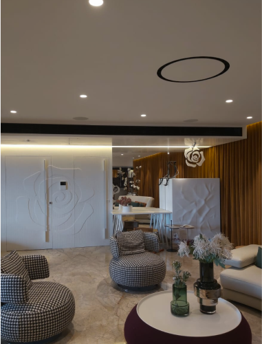 Execution of Projects